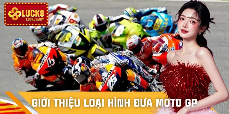 ca-cuoc-dua-moto-gp-gioi-thieu