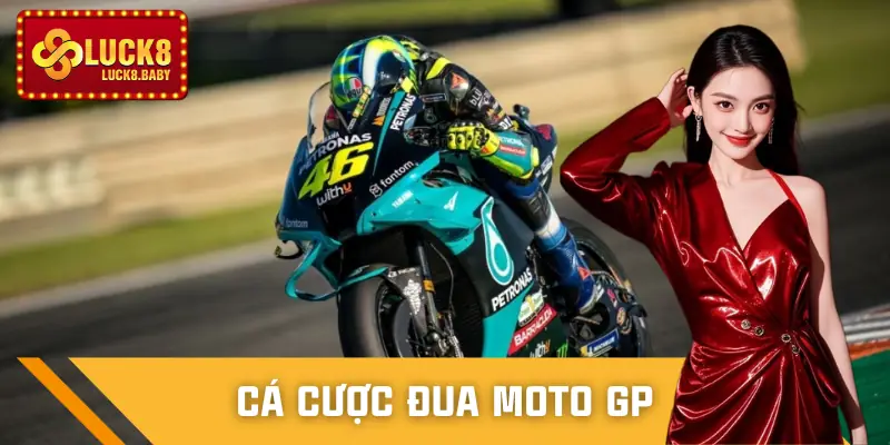 Cá Cược Đua Moto GP - Tổng Hợp Kèo Hot Mùa Giải Mới Nhất