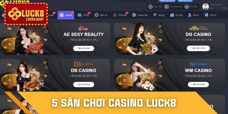 casino-luck8-nha-cung-cap