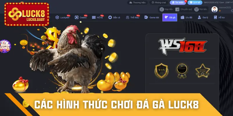 da-ga-luck8-hinh-thuc-choi